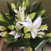 ORIENTAL LILLIES