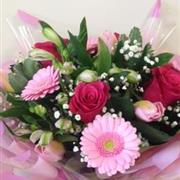 Perfect pinks