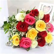 A rainbow of roses