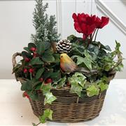 CHRISTMAS GARDEN