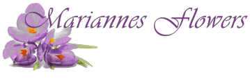 Mariannes Flowers Isle of Man
