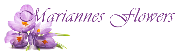 Mariannes Flowers